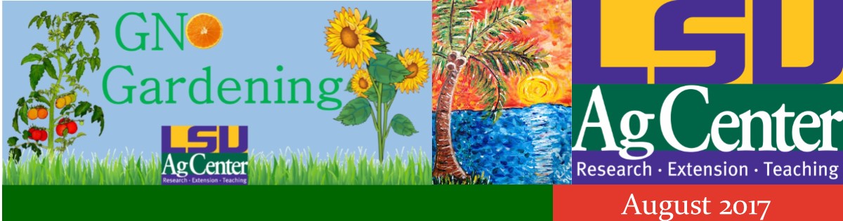 GNO Gardening August 2017 Newsletter